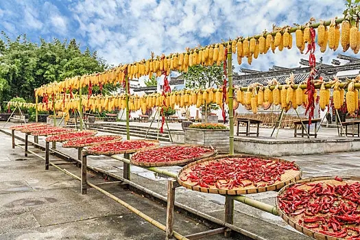 1669108024661975.jpg 1669108024661975.jpg